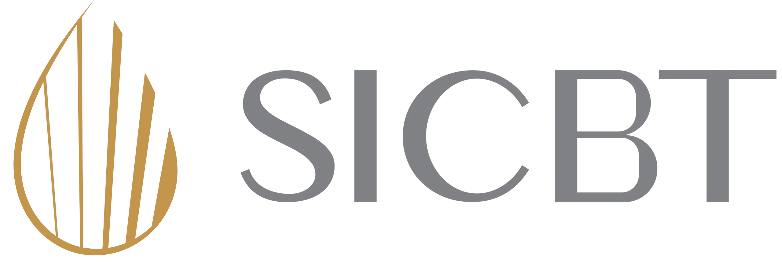 Saudi International Conference on Blood Transfusion